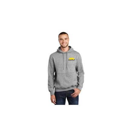 Port & Company® Men's Essential Fleece Pullover Hooded Sweatshirt