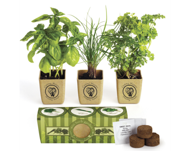 GrowPot Eco Planter for Herb Garden Set