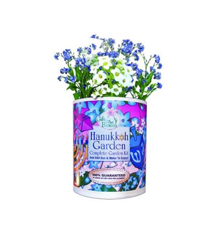 Hanukkah Garden Grocan Seeds