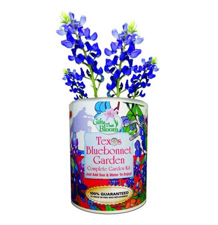 Texas Bluebonnet Garden Grocan